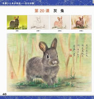 青藤美术写生动物高清图