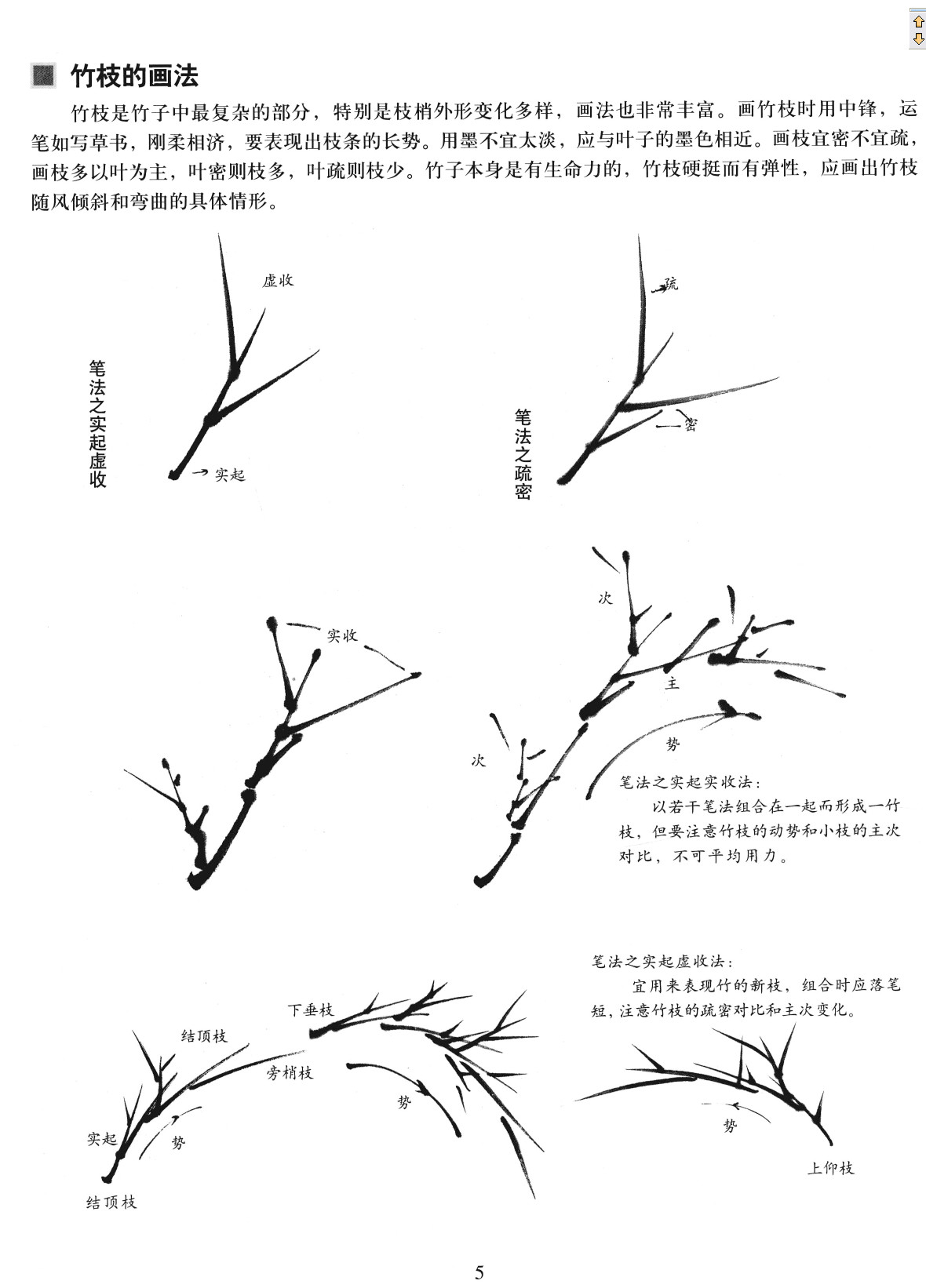 中国画技法基础教学-竹子的画法