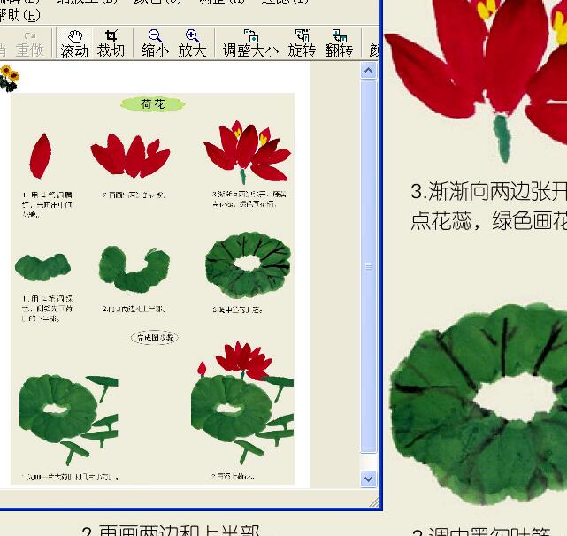 儿童国画基础教程-花卉篇扫描图书下载