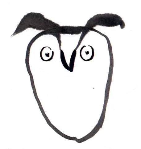 儿童国画动物：猫头鹰画法