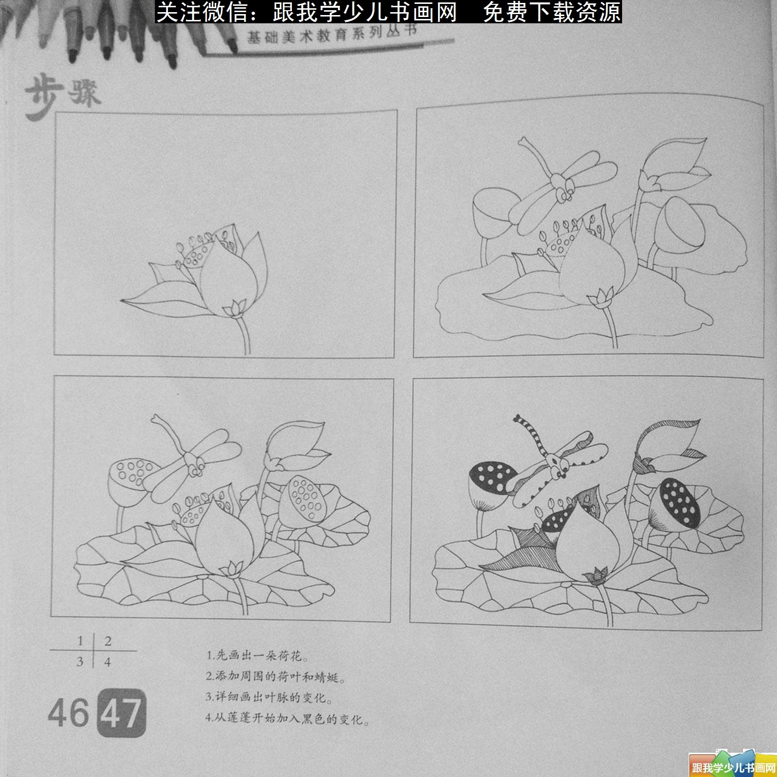儿童线描教程画植物花卉