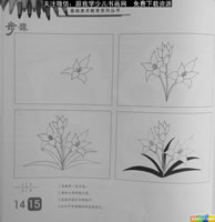 儿童线描植物花卉
