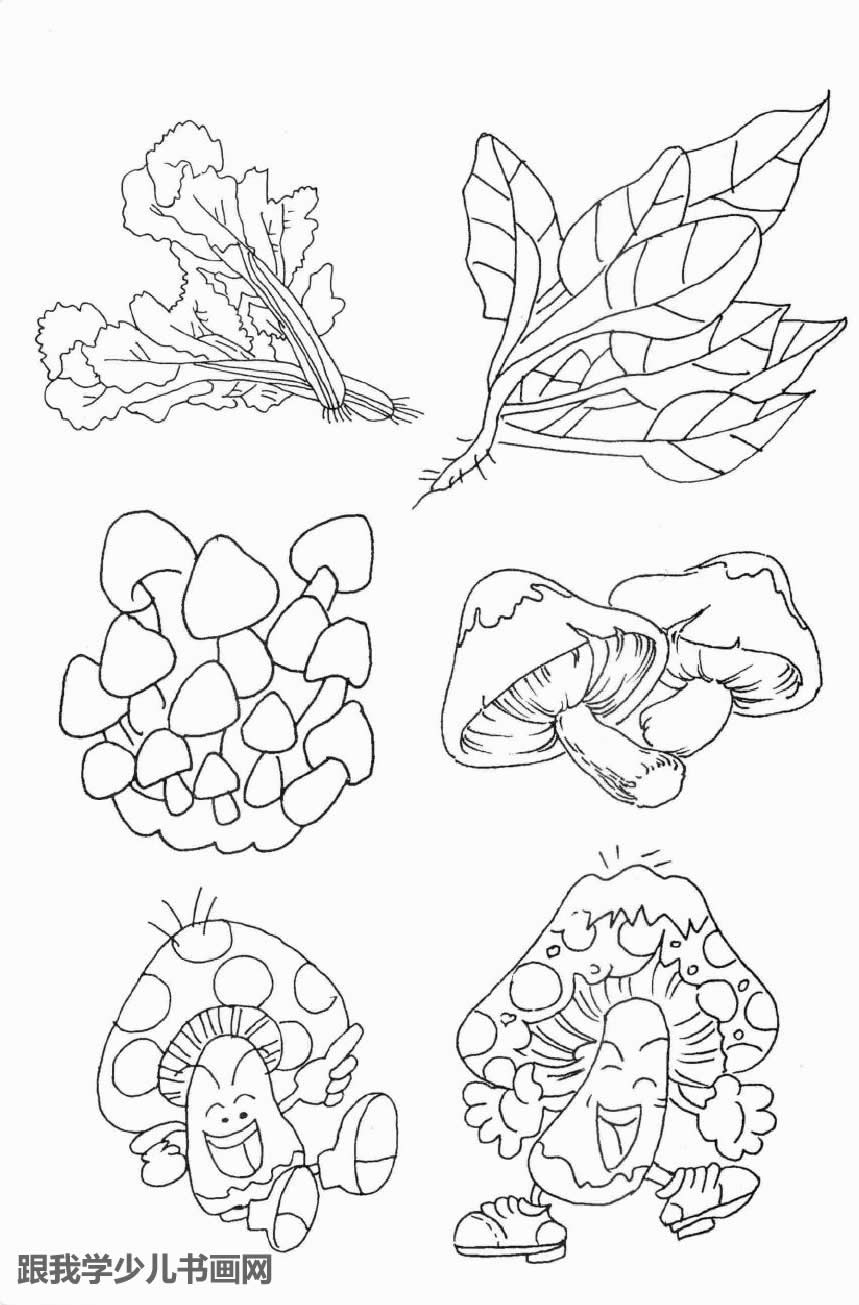简笔画素材食物蔬果类:蘑菇多种画法和山菜[图