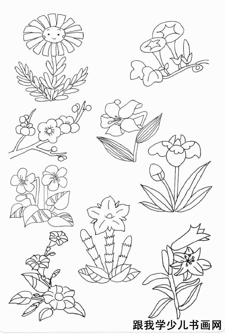 简笔画素材花草:小花、花卉、绿草、花丛5[图