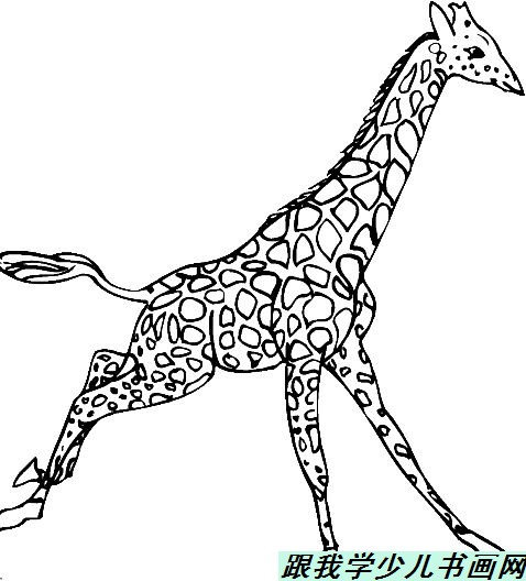 简笔画:奔跑中的长项鹿[图]