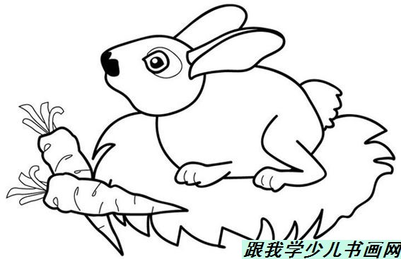 简笔画(线描简笔画)小白兔和胡萝卜[图]